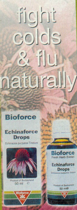 ecbio.jpg